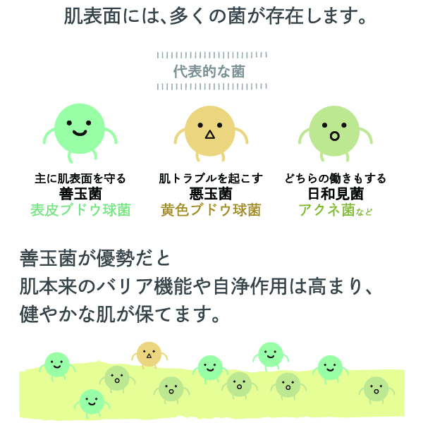 善玉菌を優勢にして健やかな肌に